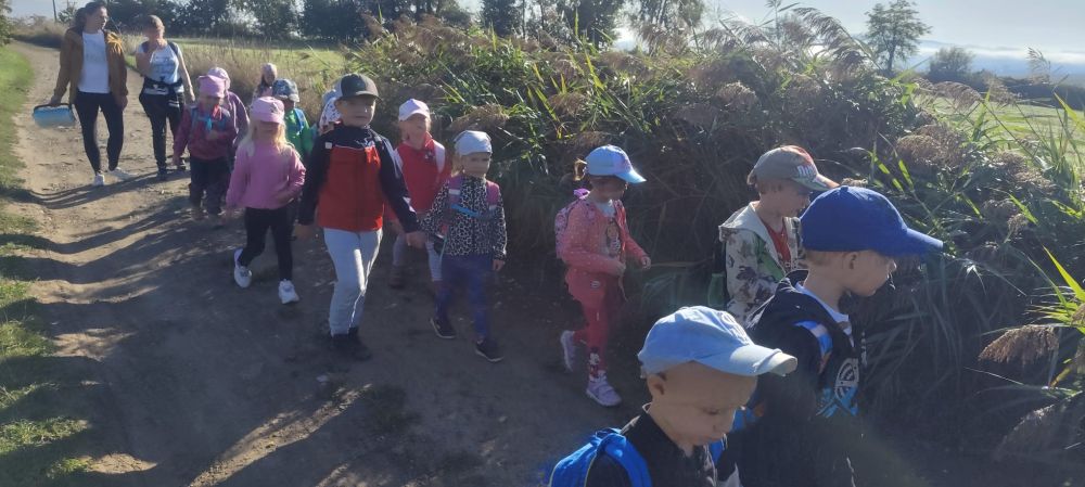 Dobrodružná vycházka k lesu 