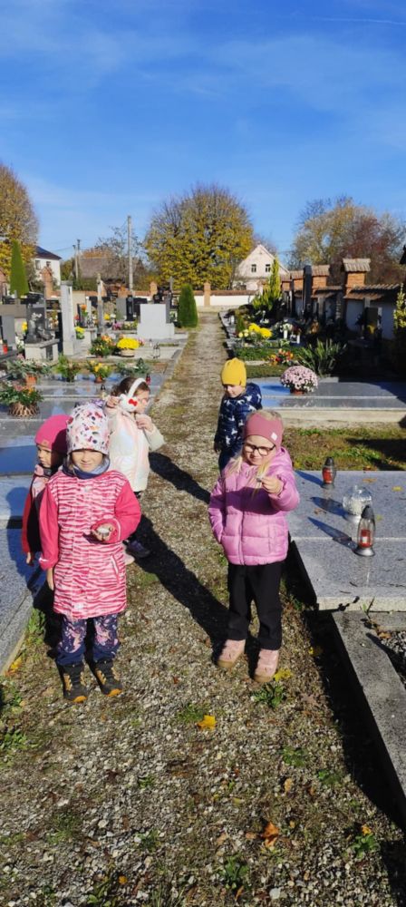 Nejnovější fotografie