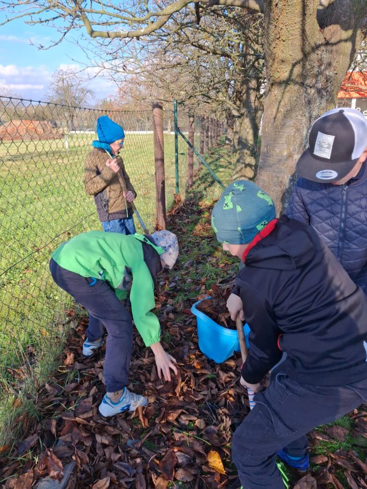 Nejnovější fotografie