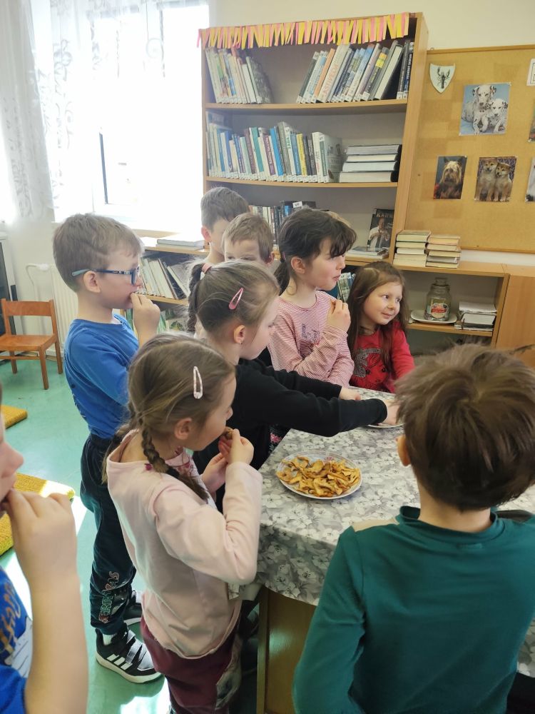 Nejnovější fotografie