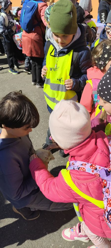 Den Země v DDM Krasohled 