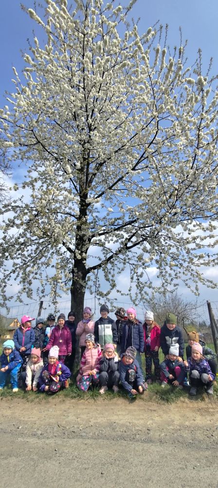 Nejnovější fotografie