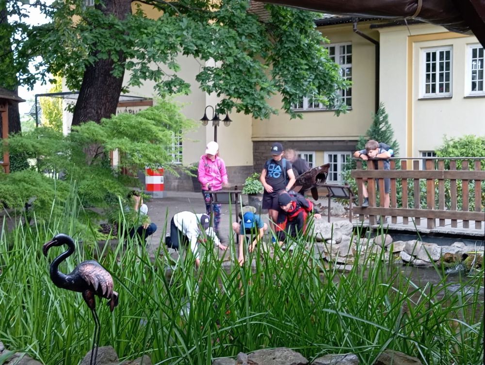 Nejnovější fotografie