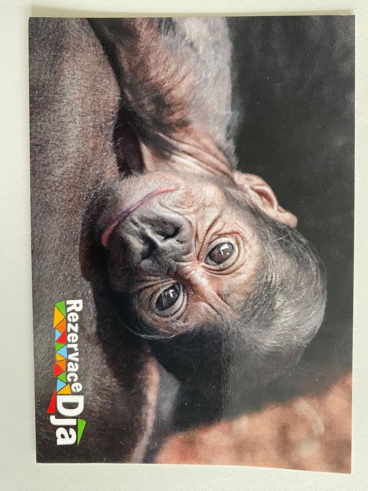 Nejnovější fotografie