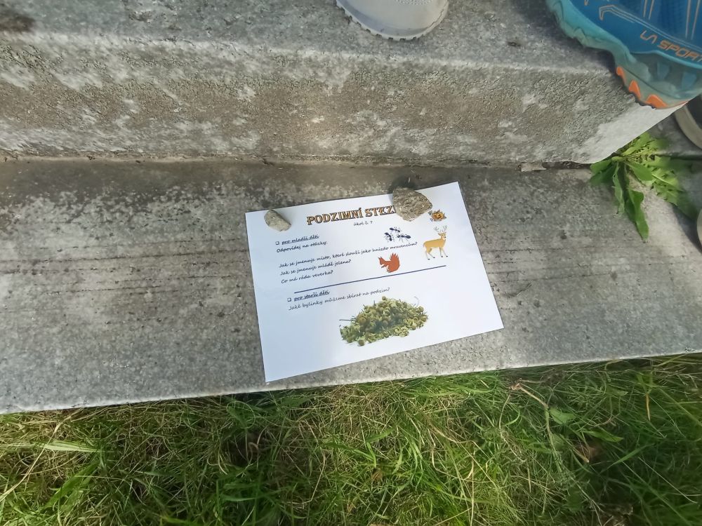 Nejnovější fotografie
