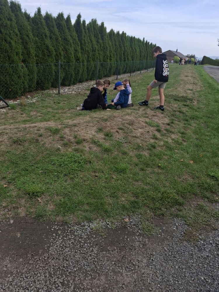 Nejnovější fotografie