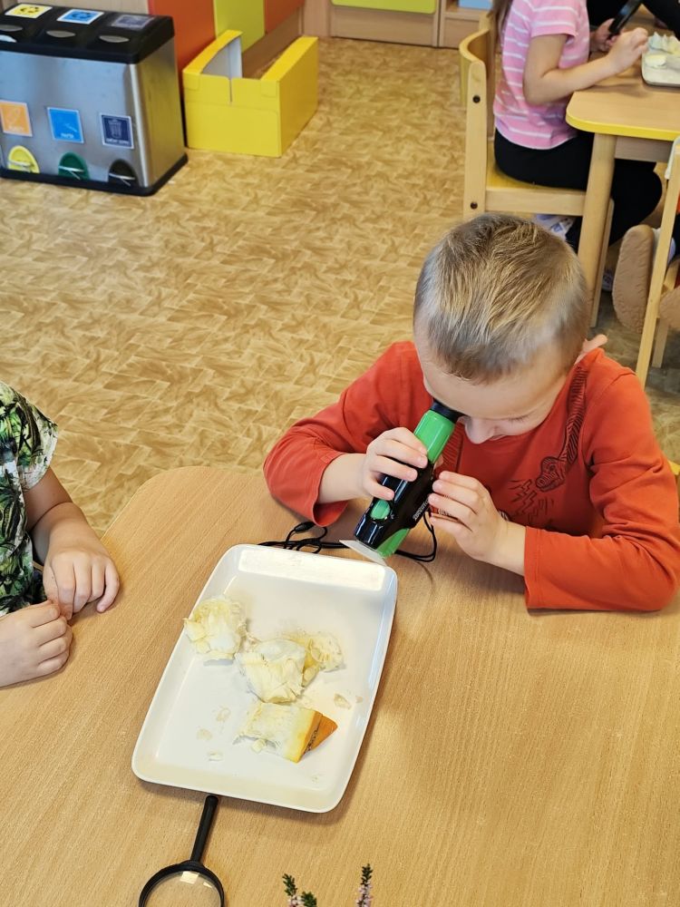 Nejnovější fotografie