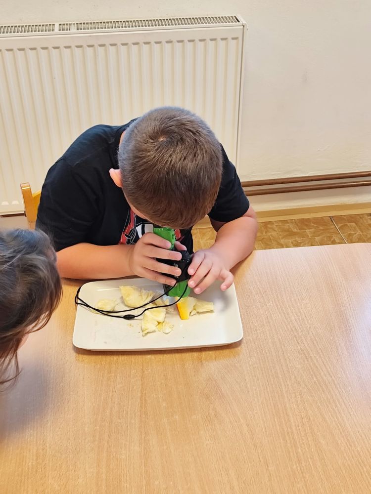 Nejnovější fotografie